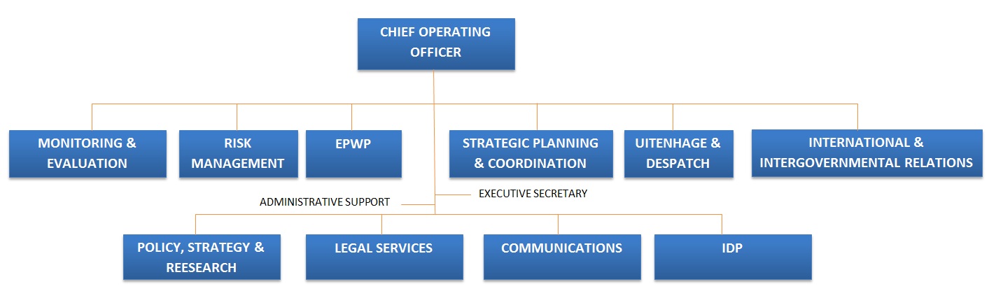 Chief Operating Officer Organizational Structure